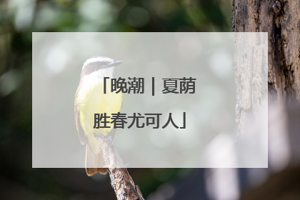 晚潮｜夏荫胜春尤可人